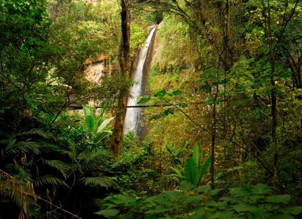 Reserva Natural Atitlan Панахачел Екстериор снимка